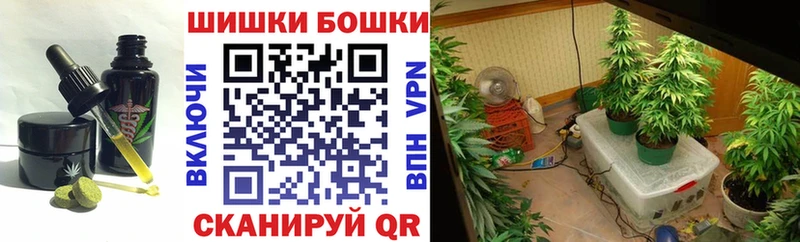 Canna-Cookies марихуана  закладки  Инсар 