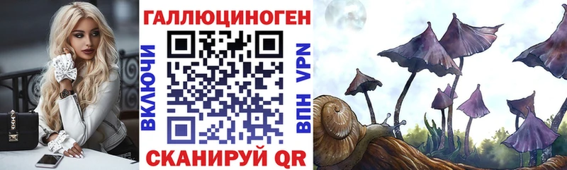 Галлюциногенные грибы Cubensis Инсар