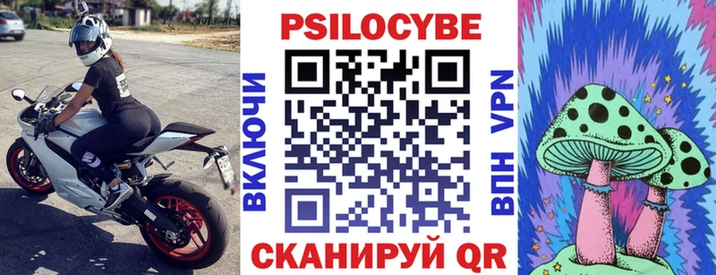 дарнет шоп  OMG как войти  Псилоцибиновые грибы мицелий  Инсар 